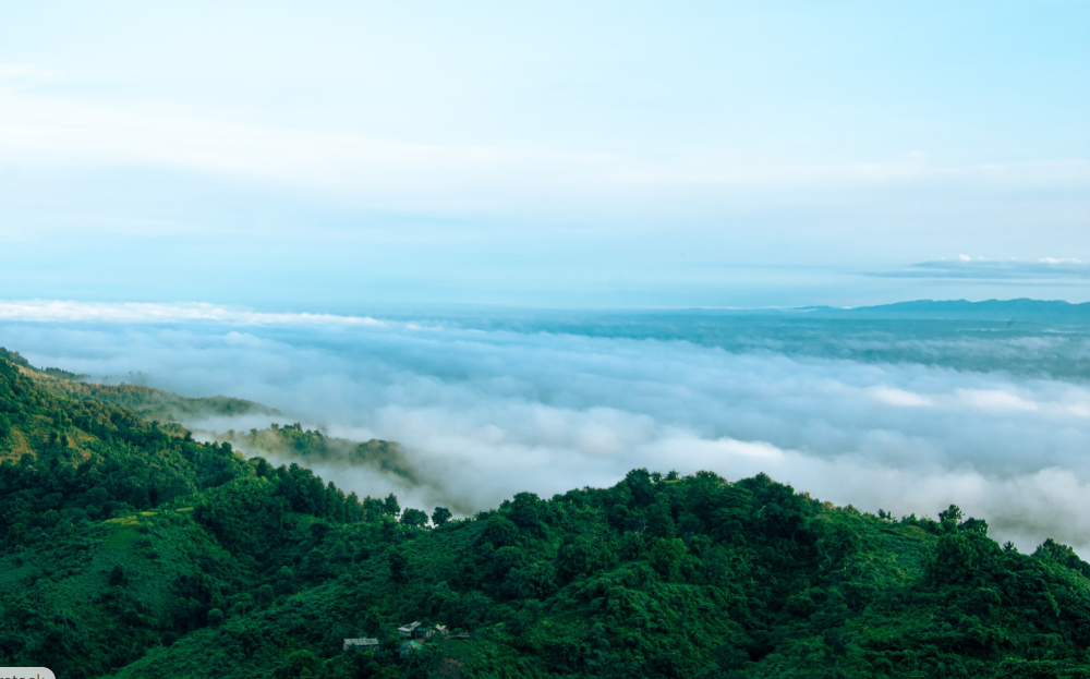 Nilgiri